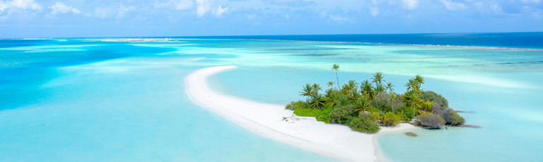 Imagem - PARAISOS TROPICAIS