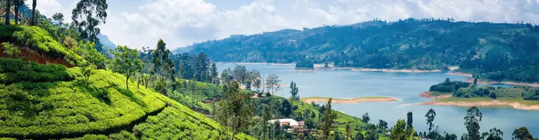 Kandy