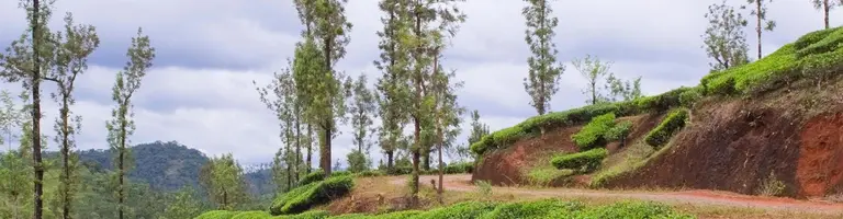 Vythiri, Kerala