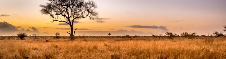 Makalali Reserve