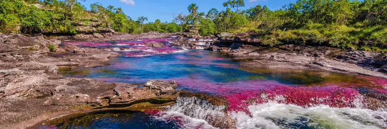 Imagen - Caño Cristales