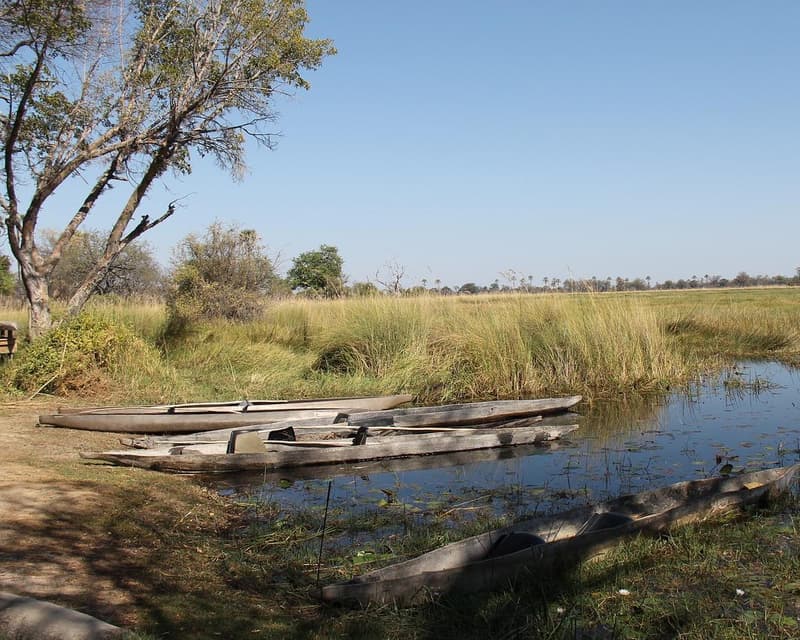 Imagen - Delta del Okavango