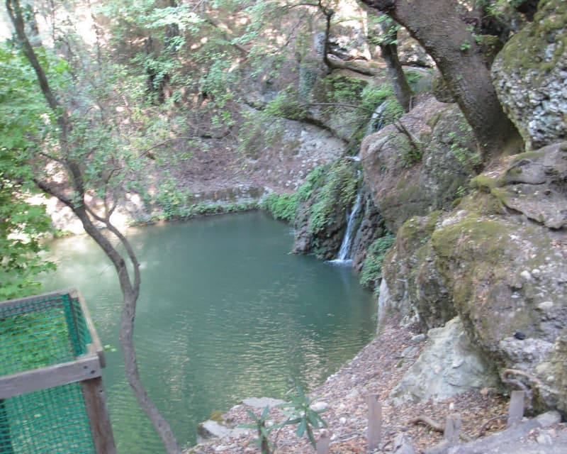 Imagen - Petaloudes, Rodas