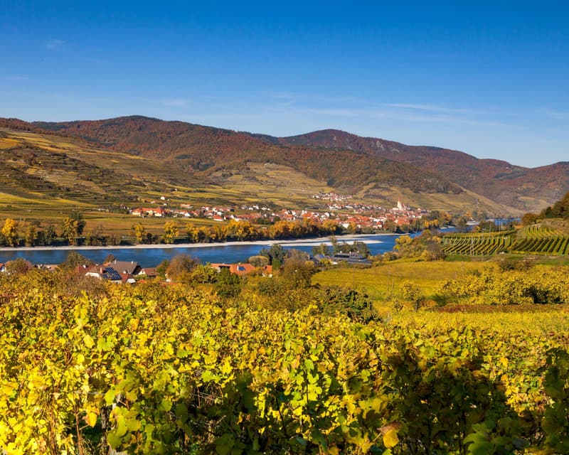 Image - Weissenkirchen in der Wachau
