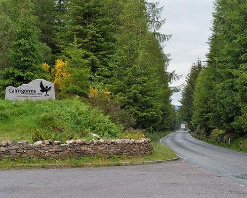 Bild - Nationalpark Cairngorms, Schottland