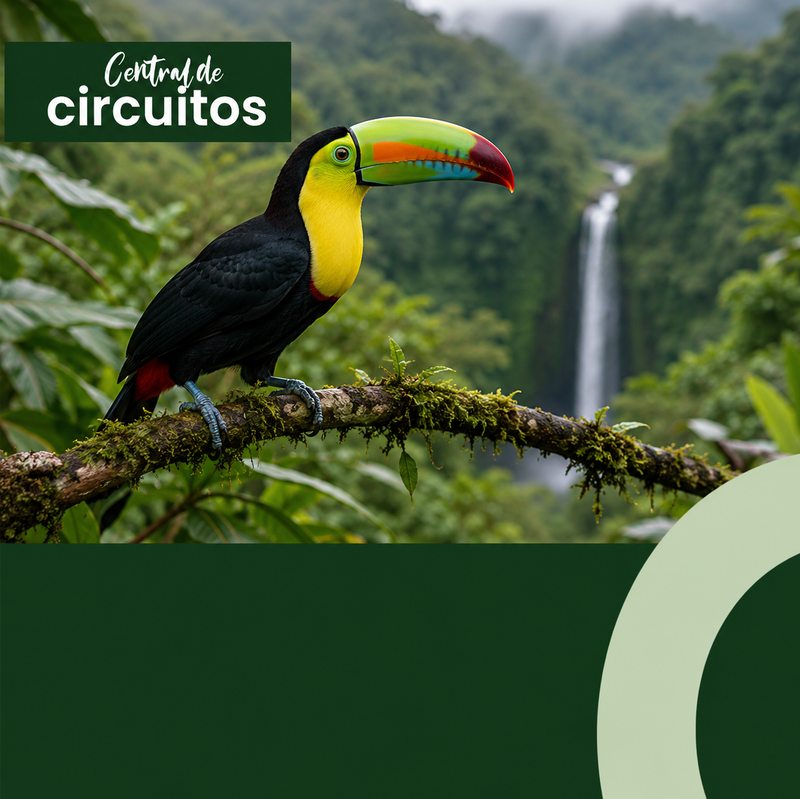 Imagen - Manuel Antonio