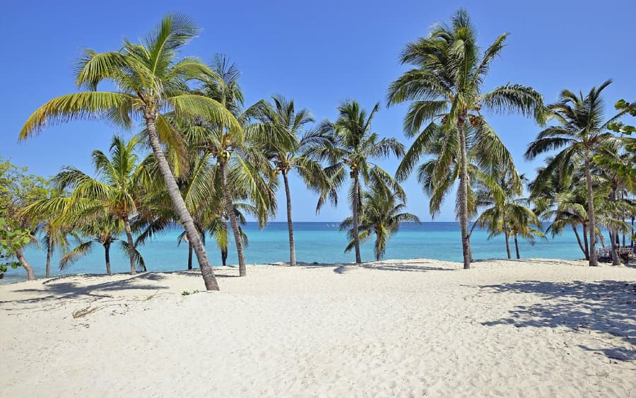 Los Pétalos Varadero