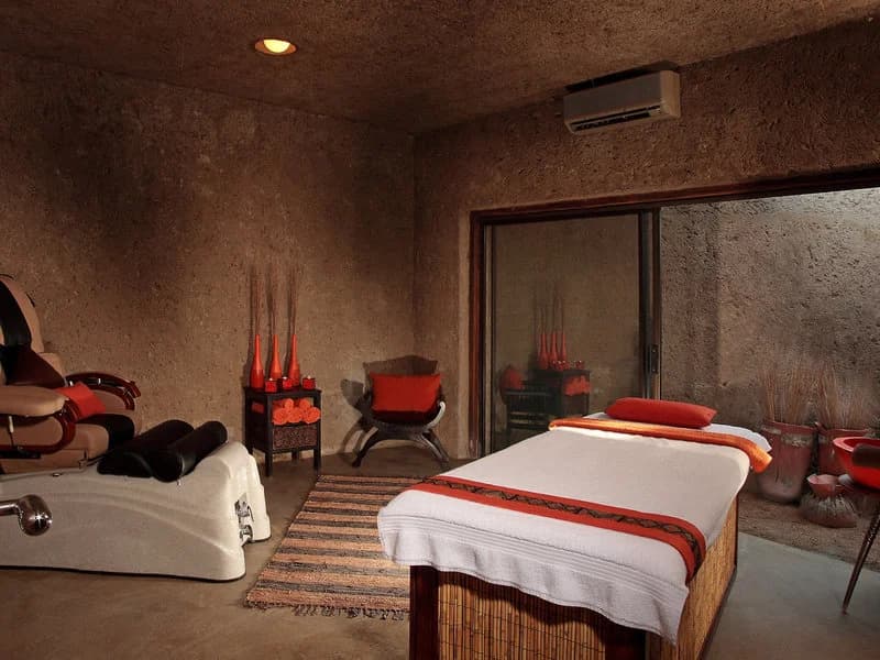 Sabi Sabi Earth Lodge