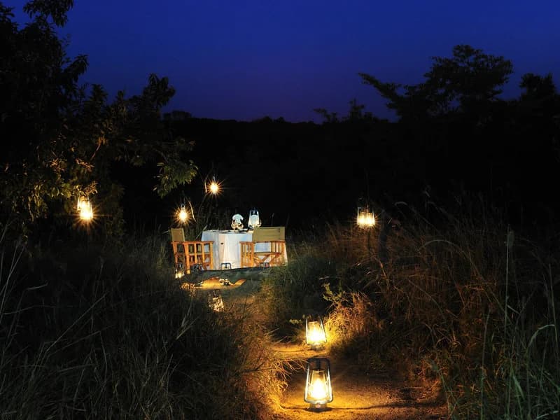 Sabi Sabi Earth Lodge