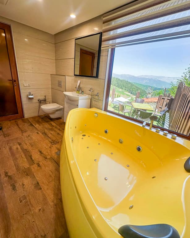 Hotel Alpine Castle