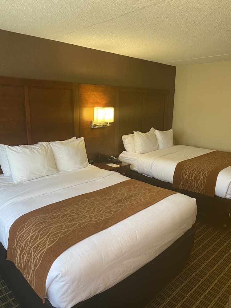 Comfort Inn Springfield