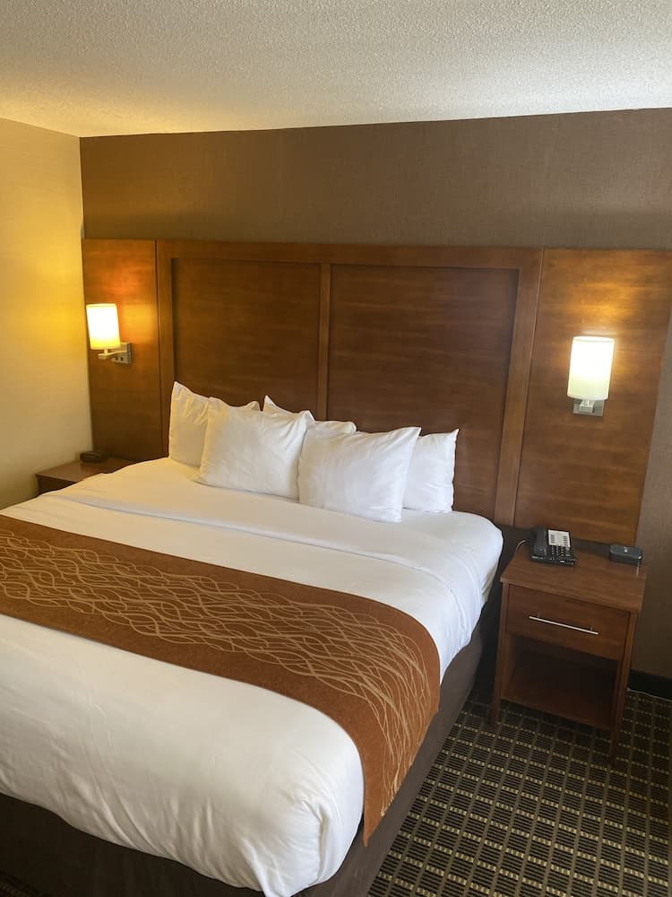 Comfort Inn Springfield