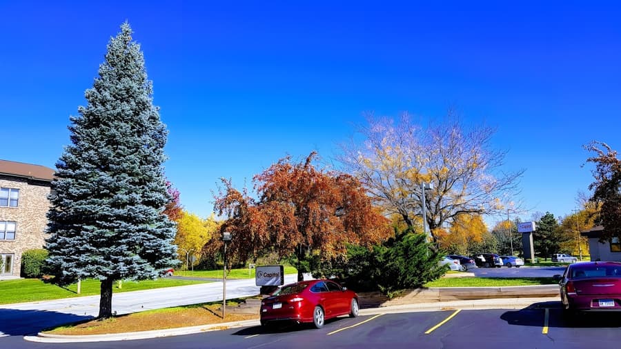 Hawthorn Extended Stay by Wyndham Green Bay