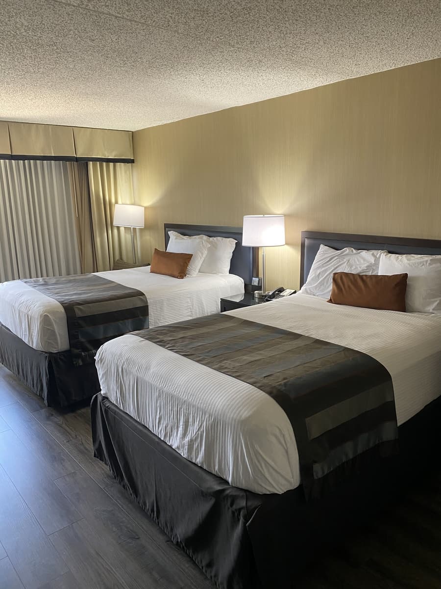 Wingate by Wyndham Springfield