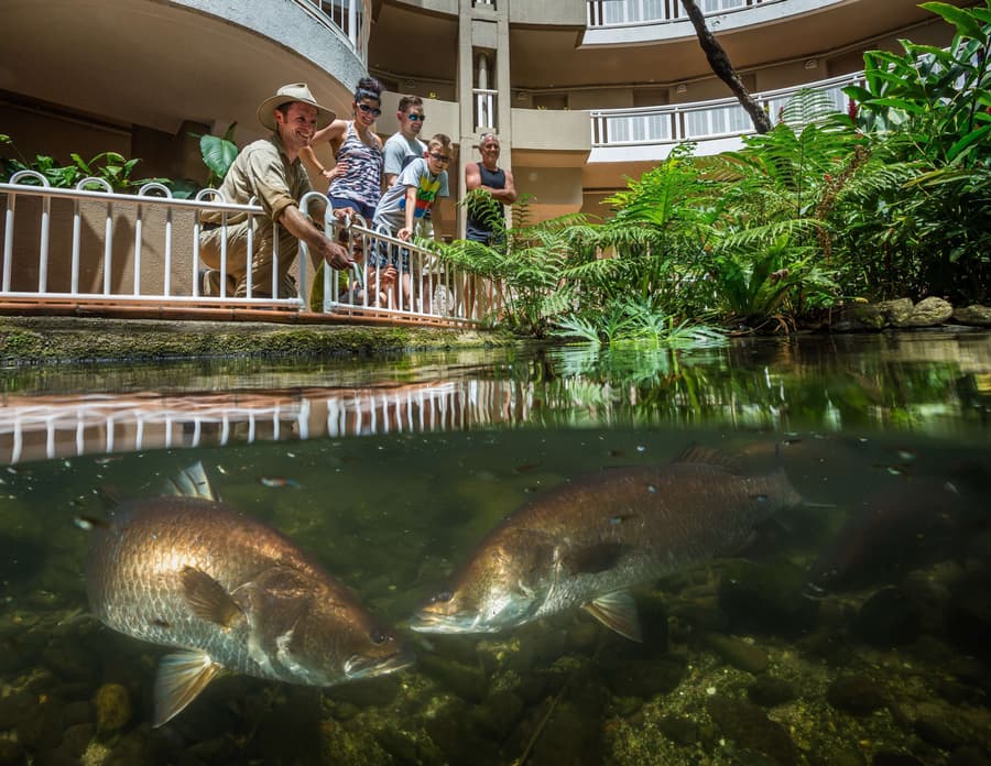 DoubleTree by Hilton Hotel Cairns