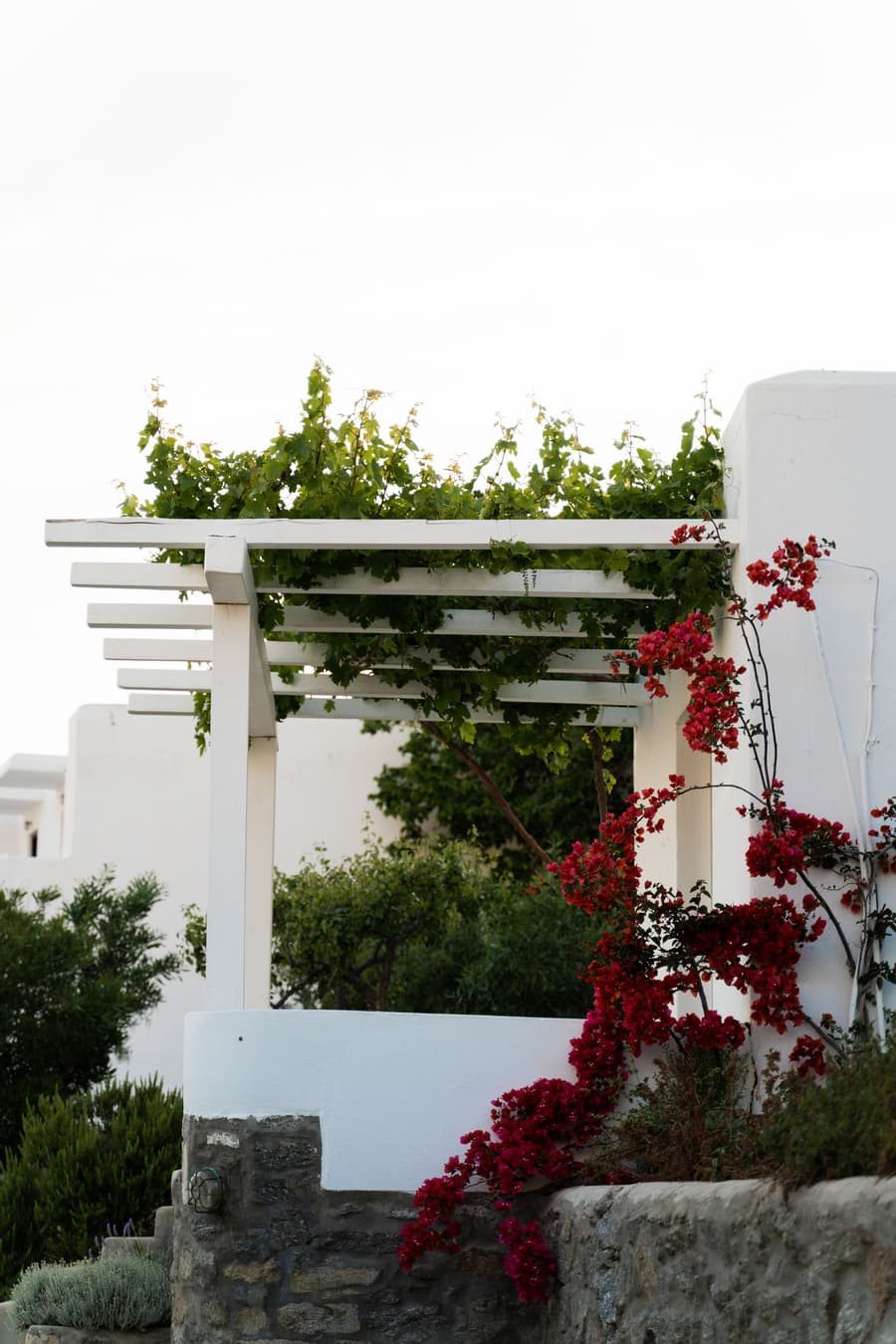 Rhenia Mykonos Hotel & Bungalows