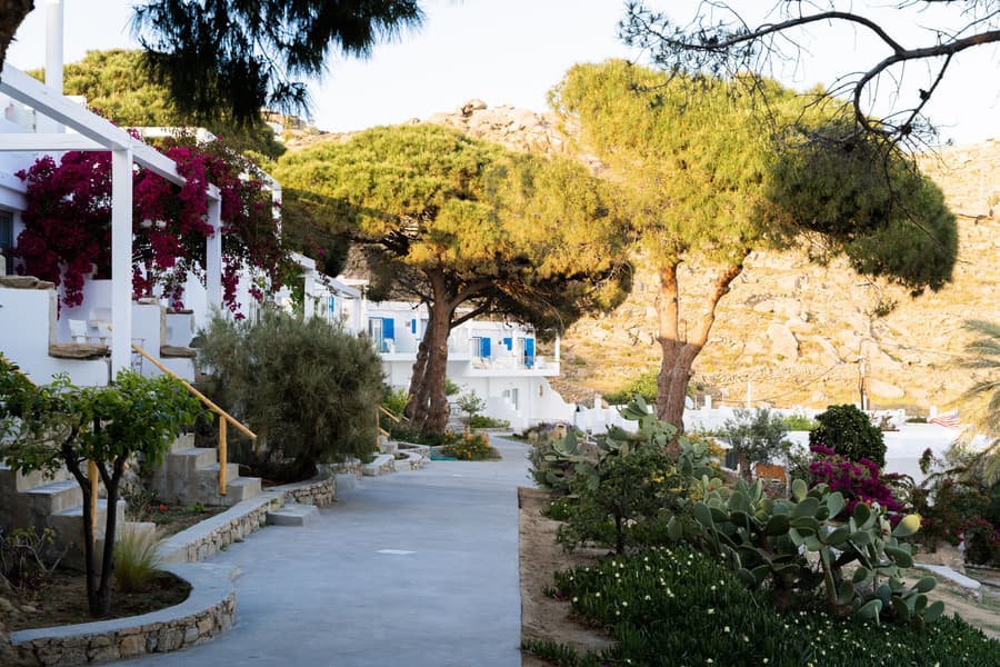Rhenia Mykonos Hotel & Bungalows
