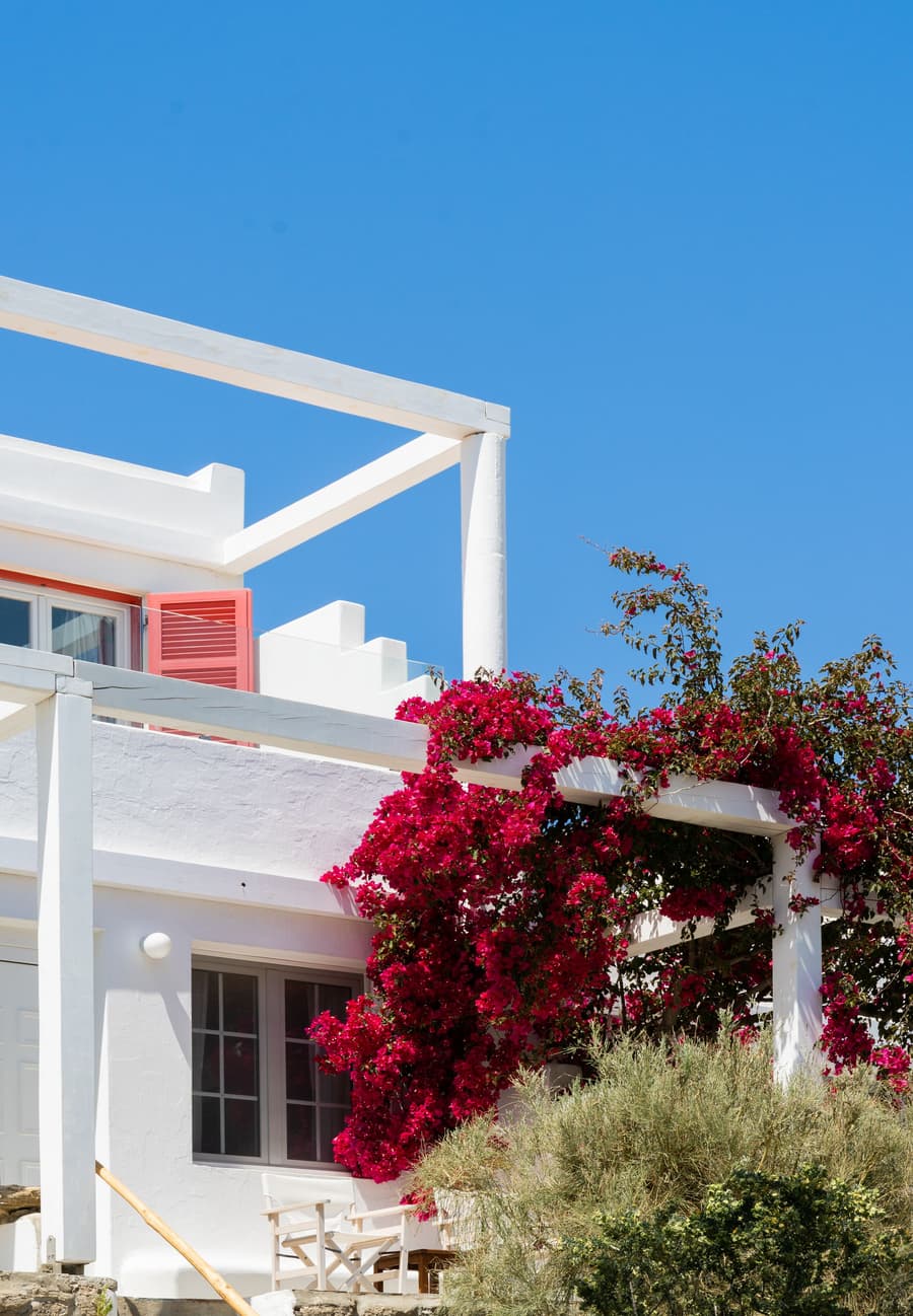 Rhenia Mykonos Hotel & Bungalows