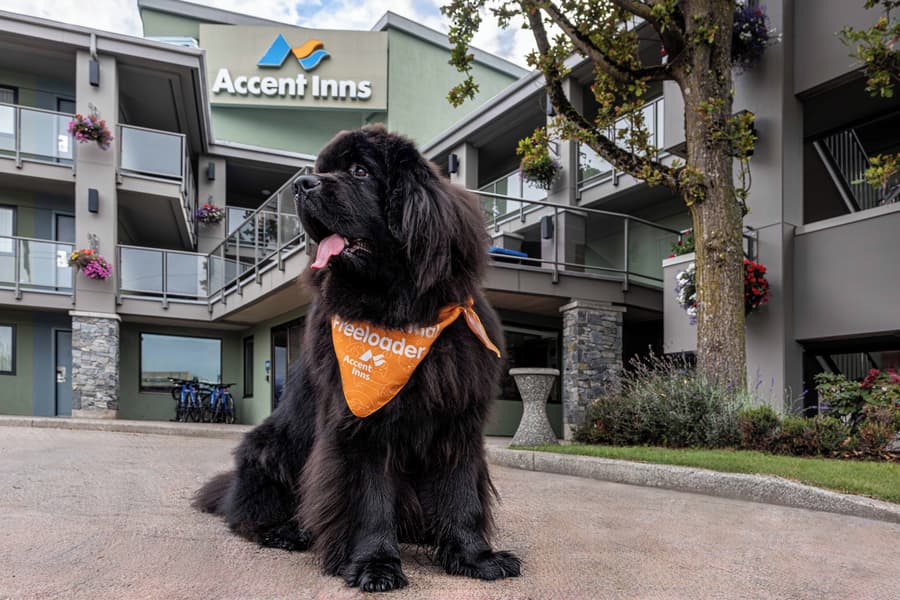 Accent Inns Kelowna
