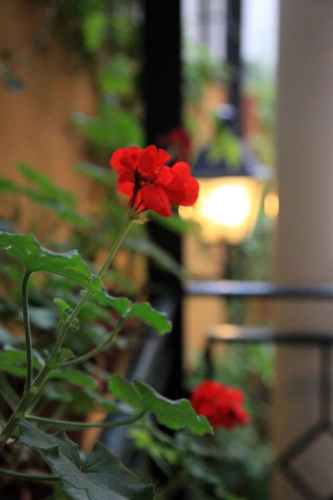 Hotel Cervantes