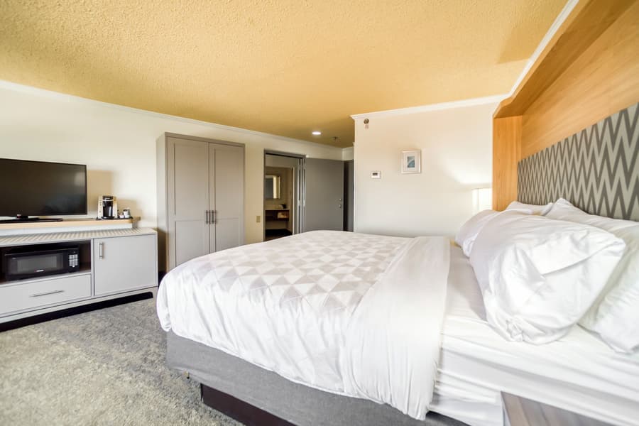Holiday Inn Mobile-Dwtn/Hist. District by IHG