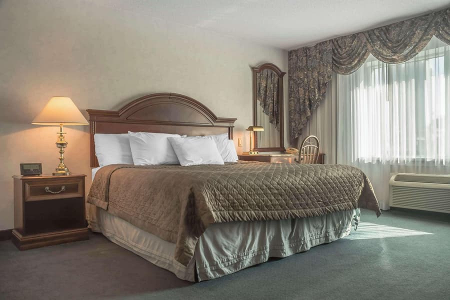 Rodeway Inn Fallsview
