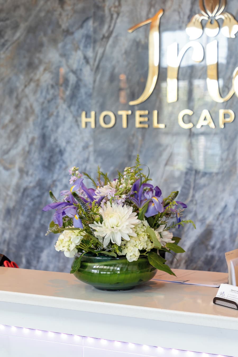 Iris Hotel Cape Cod