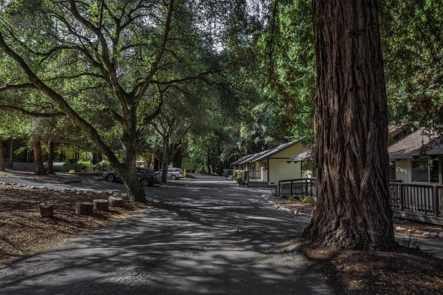 Big Sur Lodge