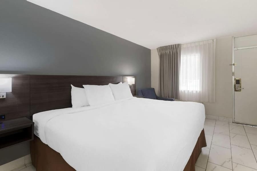 Downtown Inn & Studio Suites