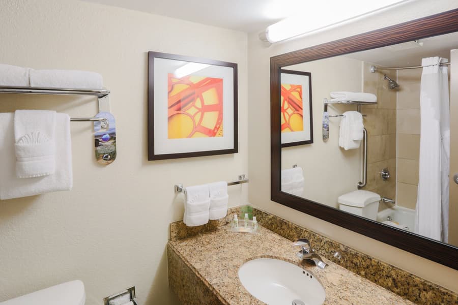 Holiday Inn Austin Midtown by IHG