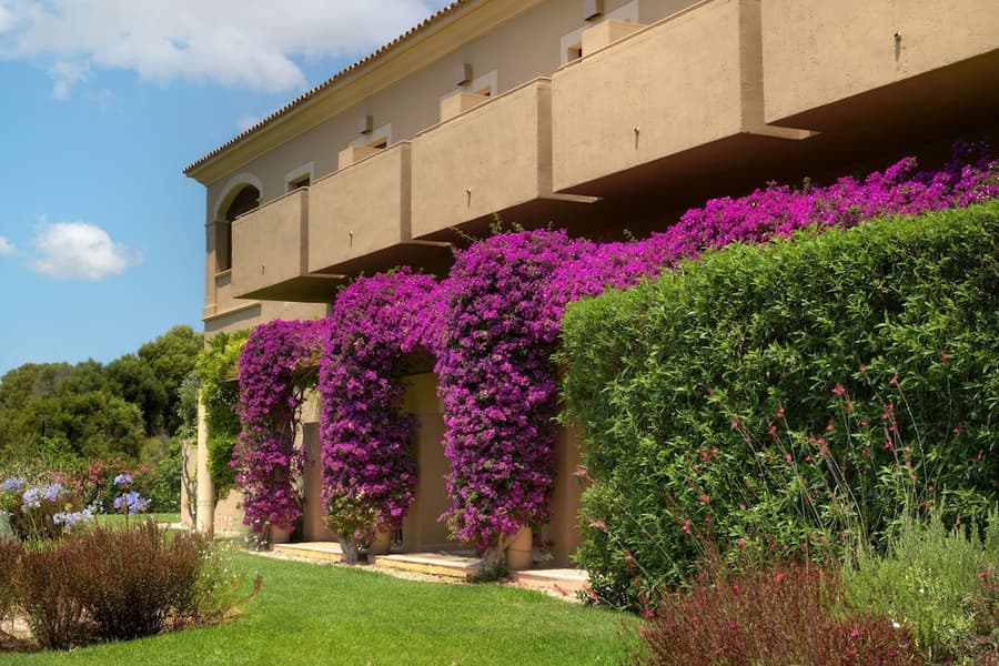 Hacienda Son Antem Golf Resort, Autograph Collection