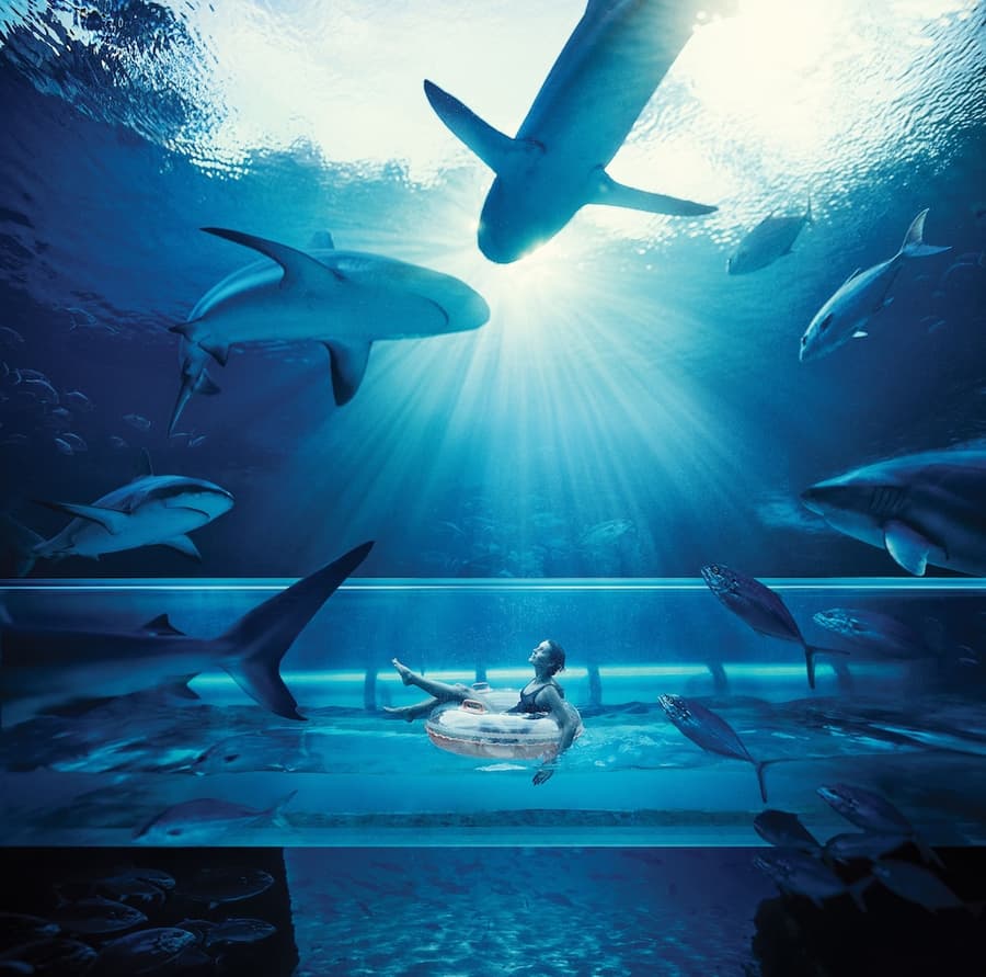The Royal at Atlantis