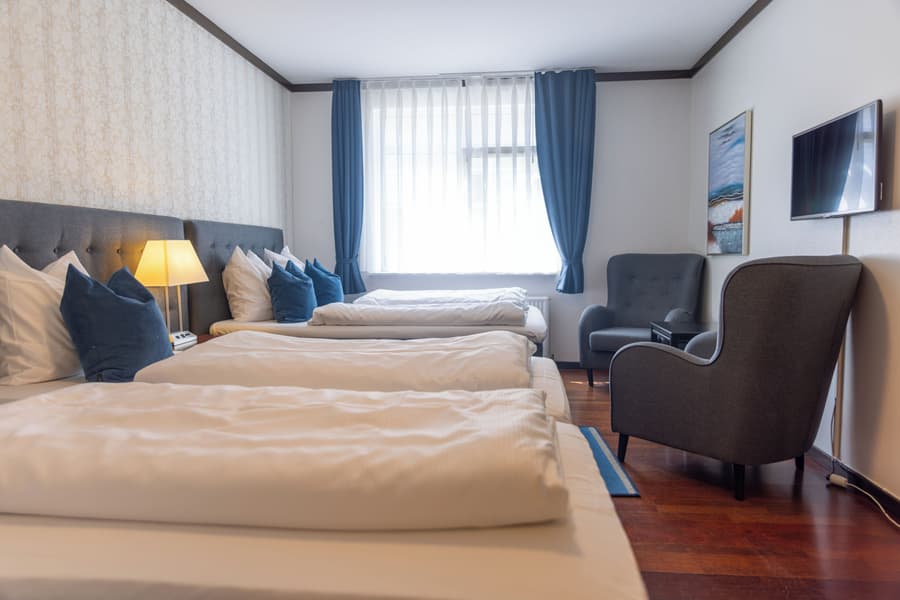 Hotel Phønix