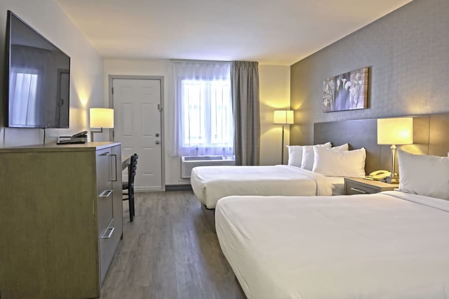 Repotel Levis