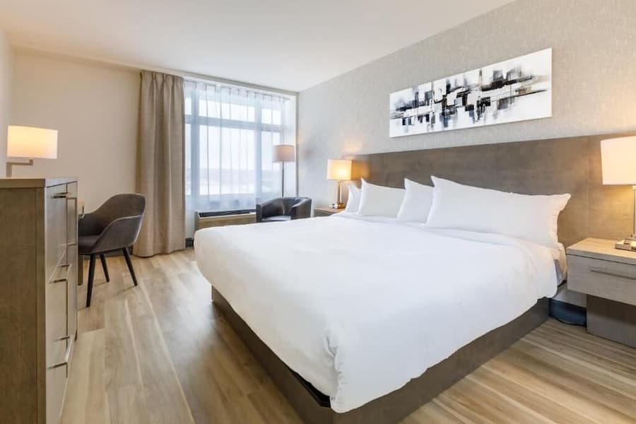 Repotel Levis