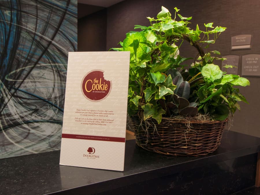 DoubleTree by Hilton Hotel Niagara Falls New York