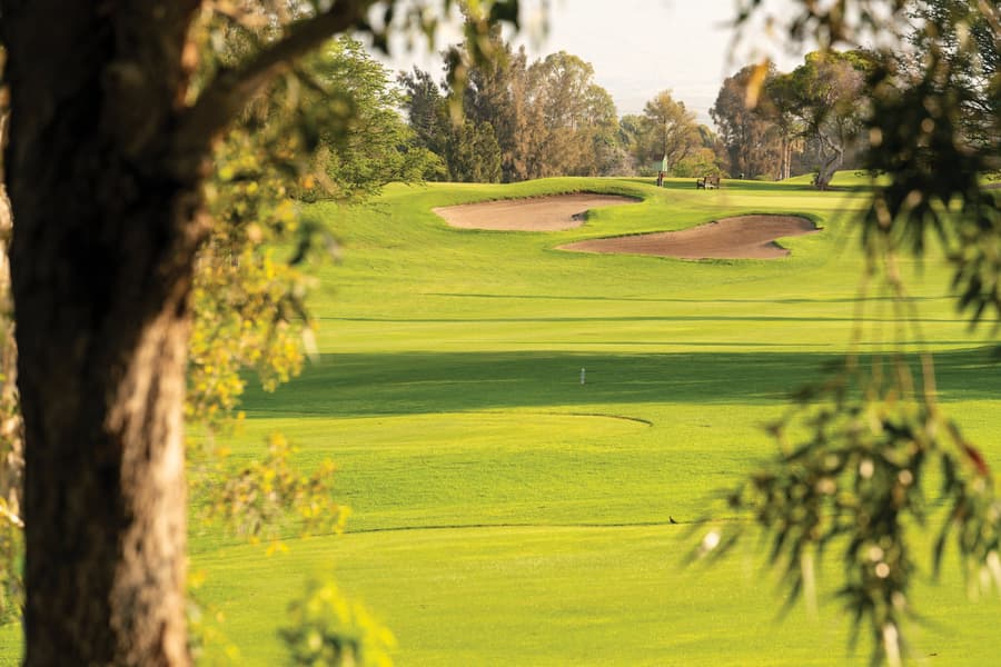 Paniolo Greens At Waikoloa