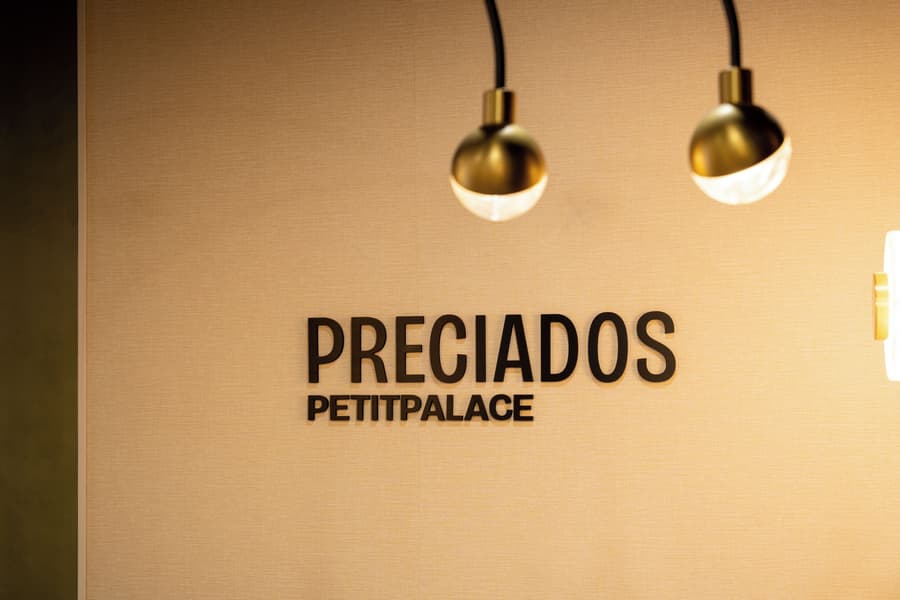 Petit Palace Preciados