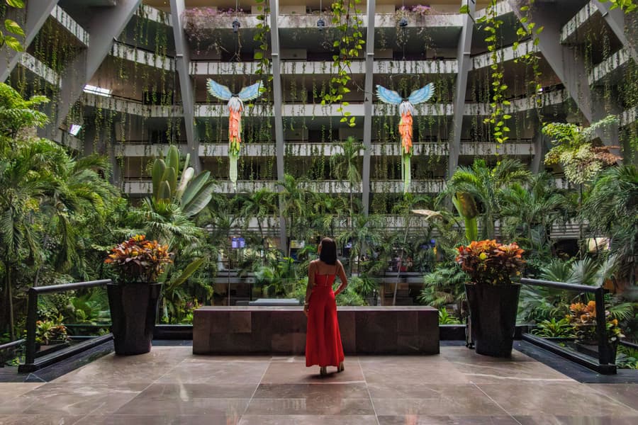 The Grand Oasis Cancun - All Inclusive