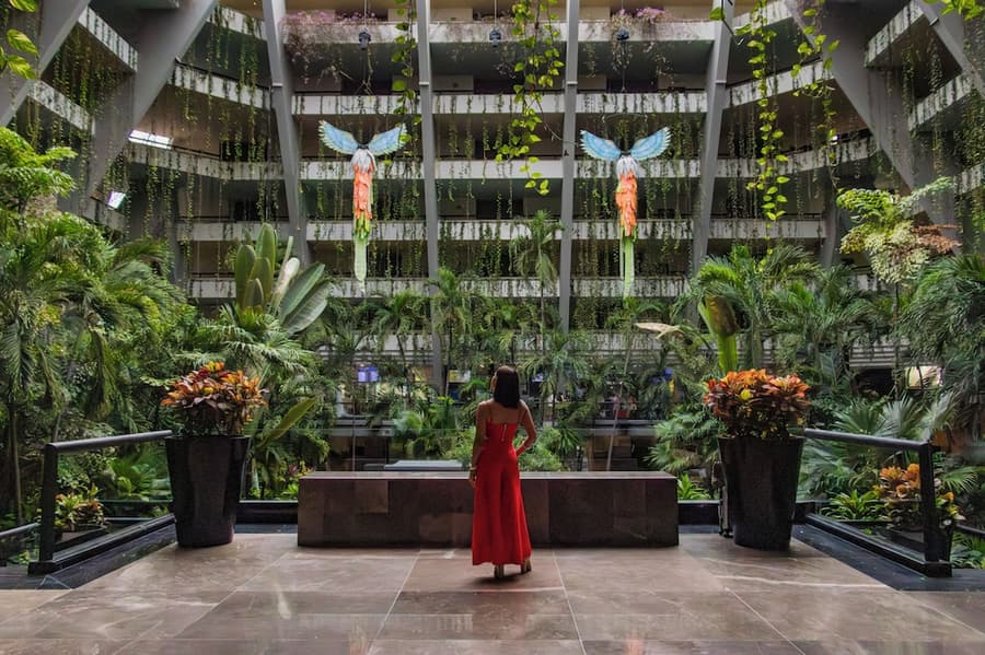 The Grand Oasis Cancun - All Inclusive