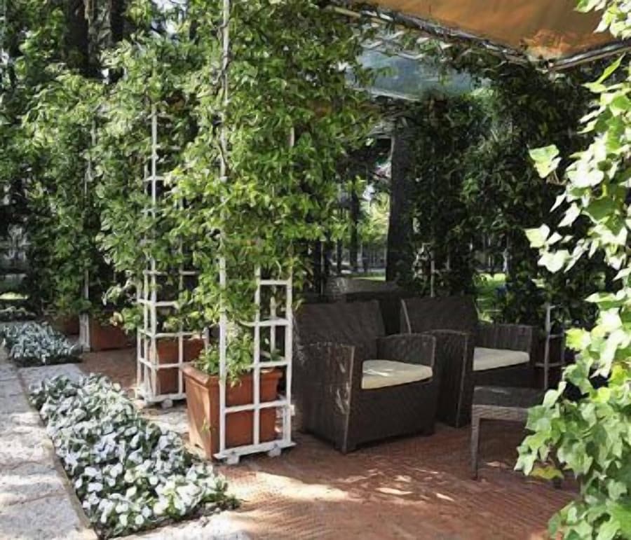 Hotel delle Rose Terme & Wellnes Spa