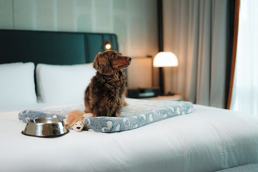 Sofitel Montreal Golden Mile