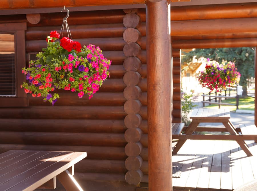 Elk Country Inn