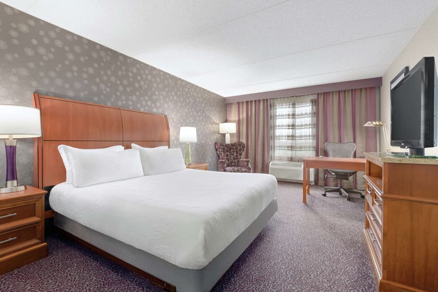 Hilton Garden Inn-Springfield, MA