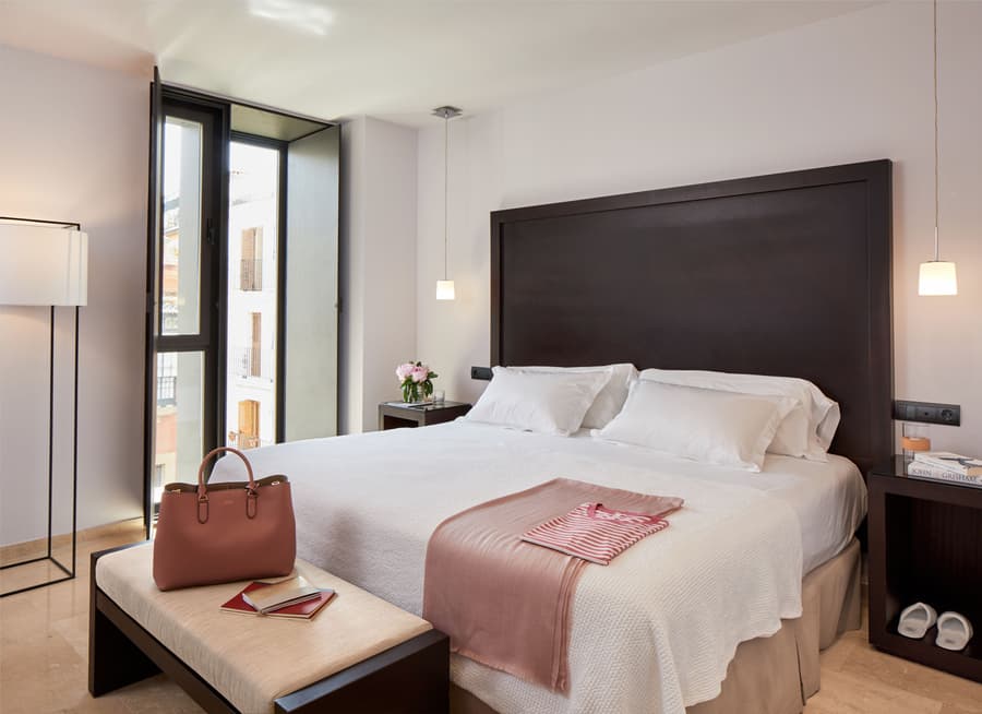 Hotel Rey Alfonso X