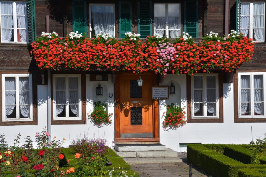 Hotel Chalet Swiss