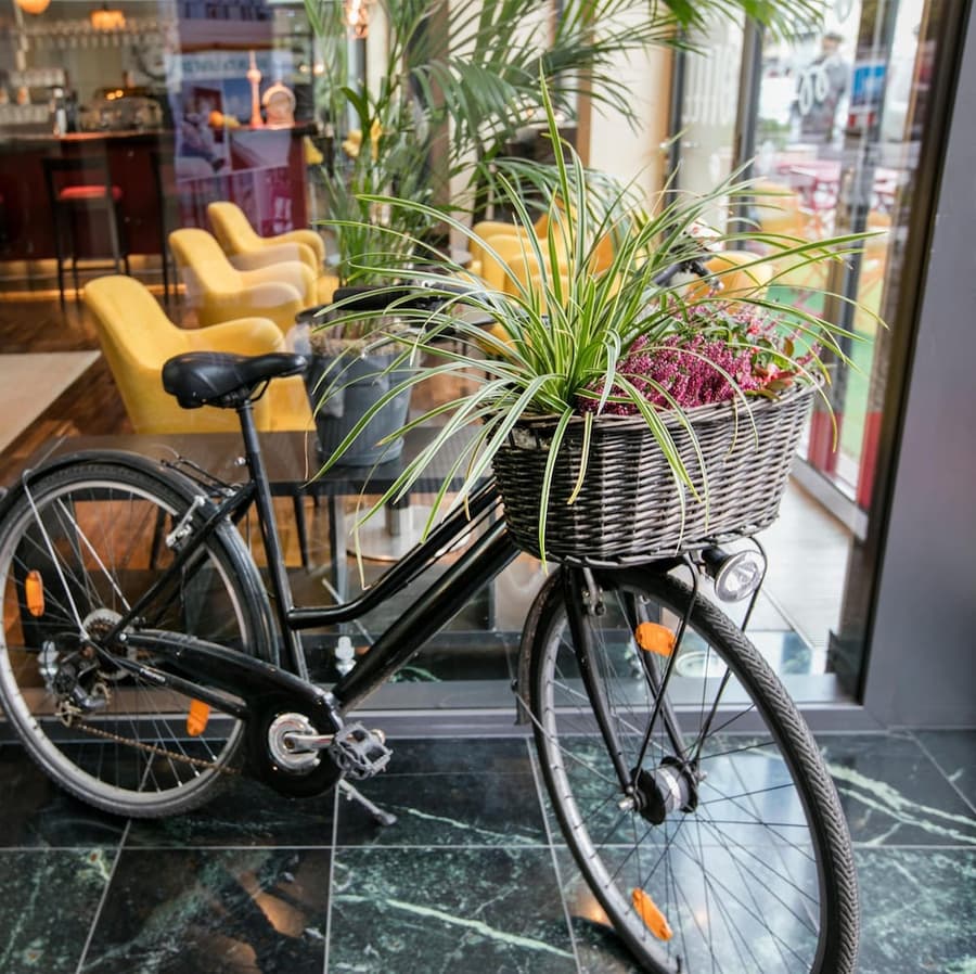 ARCOTEL Velvet Berlin