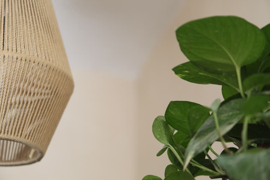 Calea Tulum Boutique Hotel