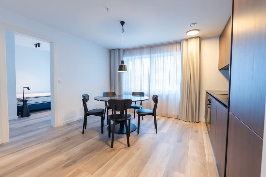 Hlemmur Suites