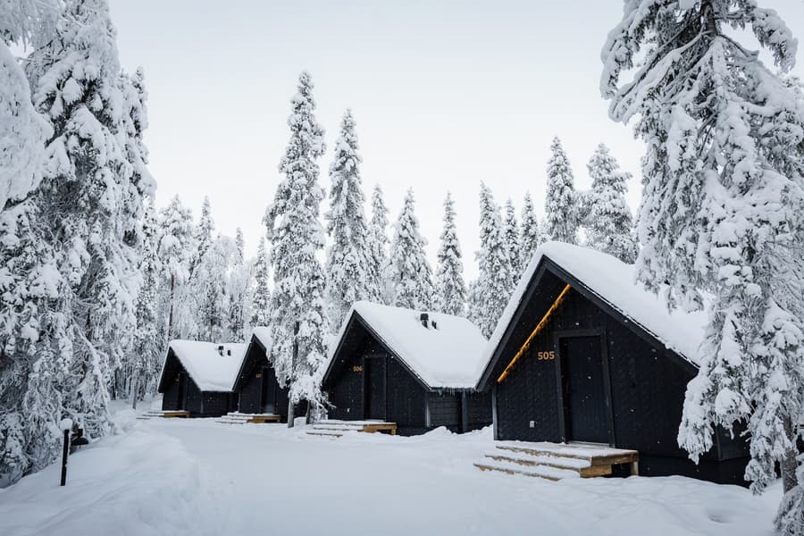 Vaattunki Wilderness Resort